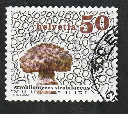 2267 - Champiñón, strobilomyces strovilaceus