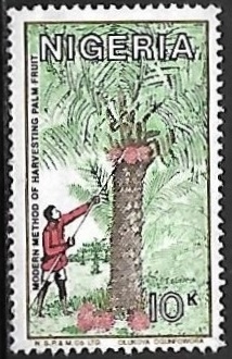 Palmeras