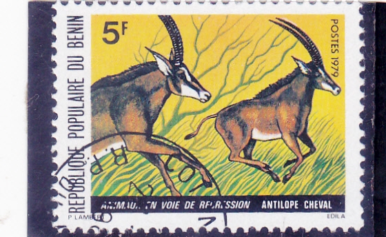 ANTILOPES