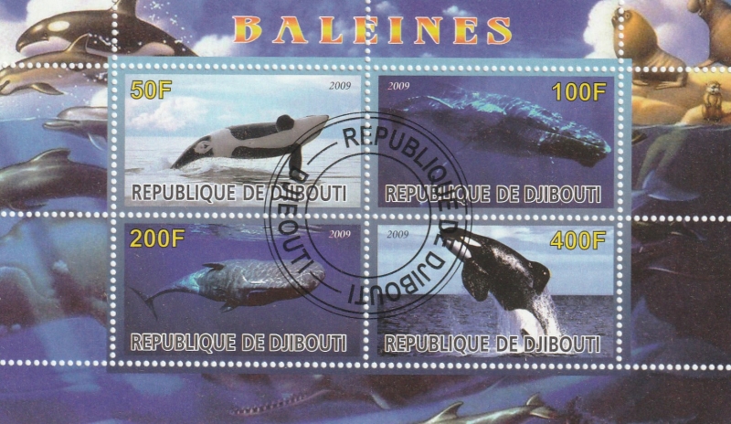 Ballenas