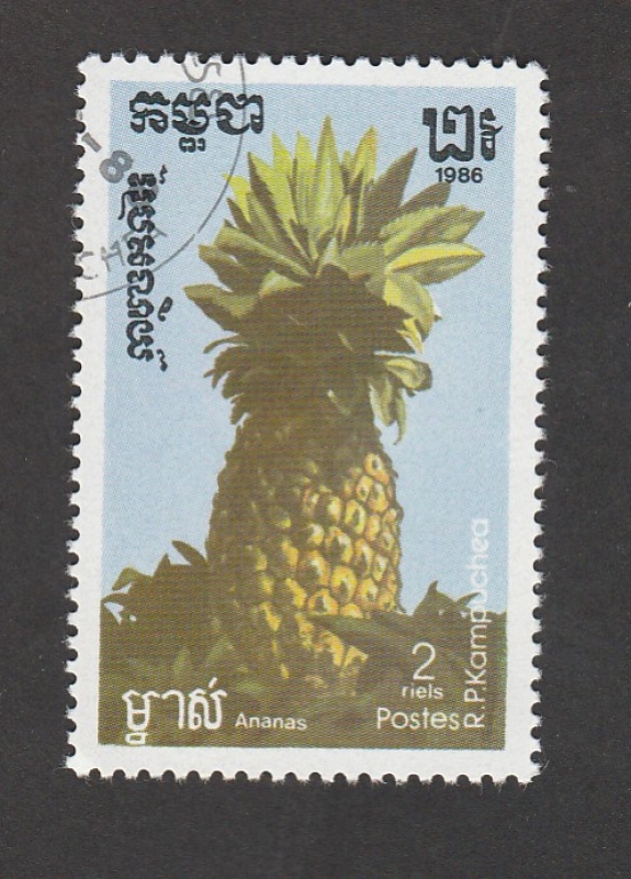 Piña