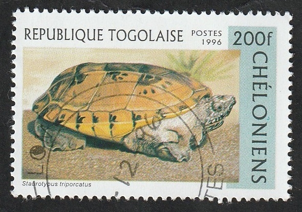 1518 - Tortuga