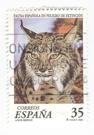 Edifil 3529. Lince ibérico