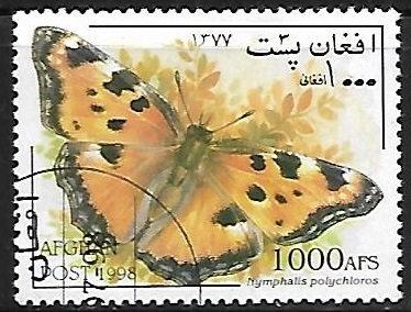 Mariposas - Nymphalis polychloros