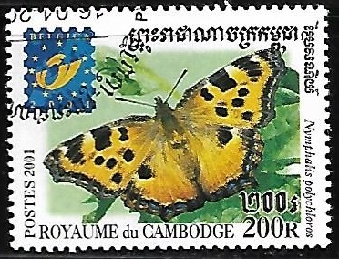 Mariposas - Nymphalis polychloros