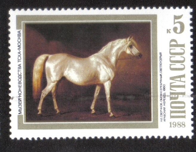 Caballos en pinturas. Semental árabe gris claro (AND. Sverchkov, 1860)