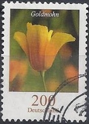 2006 - Goldmohn