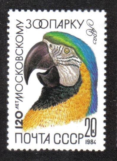 Zoológico de Moscú, 120 aniversario. Guacamayo azul y amarillo (Ara ararauna)