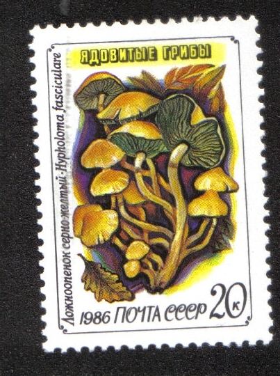 Hongos, Mechón de azufre (Hypholoma fasciculare)