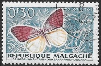 mariposa