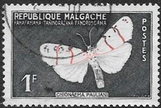 mariposa