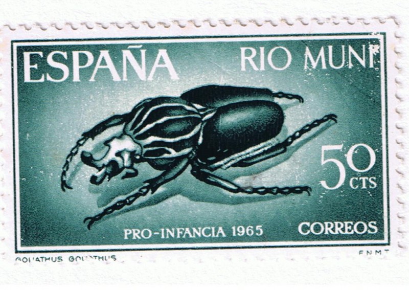 Rio Muni  Pro Infancia 1965  Goliathus Goliathus