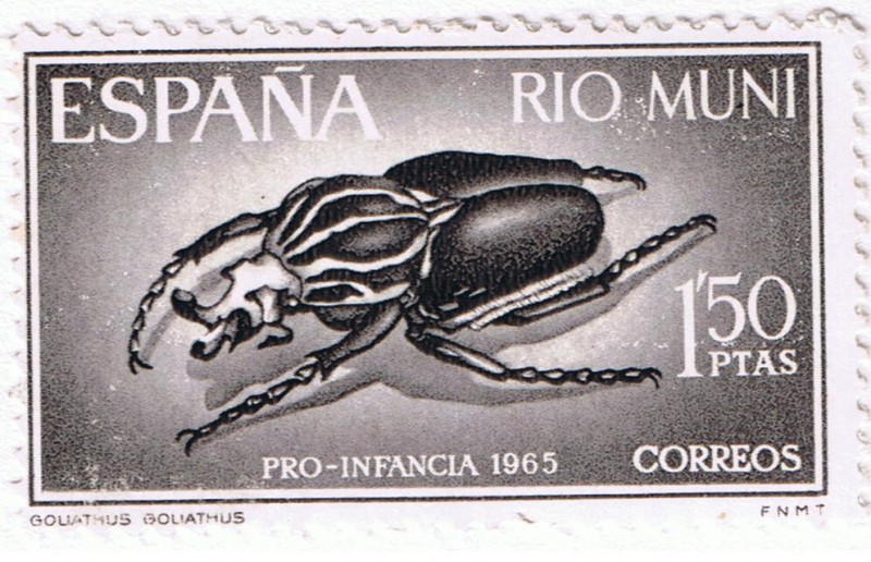 Rio Muni  Pro Infancia 1965  Goliathus Goliathus