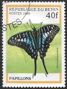 mariposas