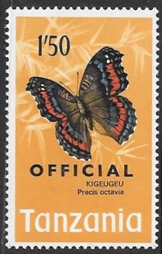 mariposas