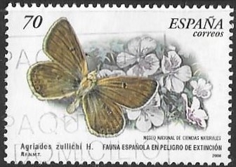 mariposas