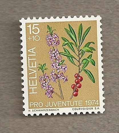 Pro Juventute 1974