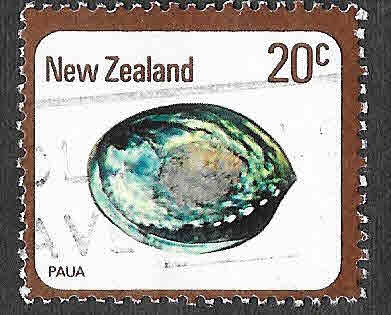 674 - Paua