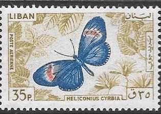 mariposas