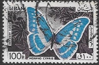 mariposas