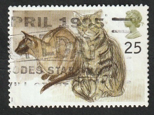 1790 - Gatos