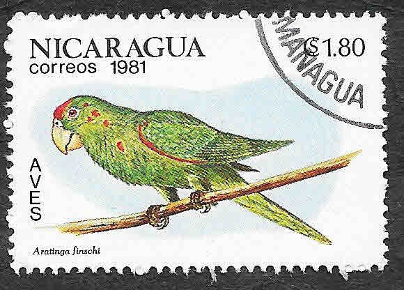 1127 - Perico Frentirrojo