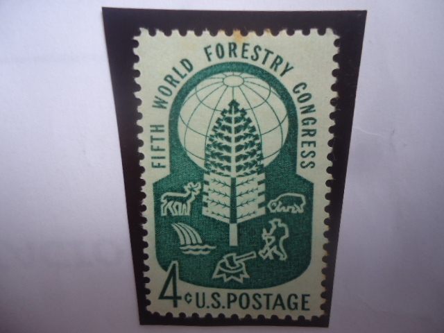 Fifth World Forestry Congress