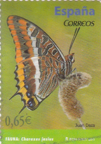 MARIPOSA(43)