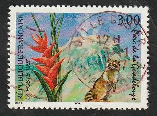 3055 - Parque Guadalupe, Volcán Soufriere, flor y ratón