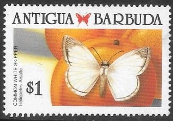 mariposas