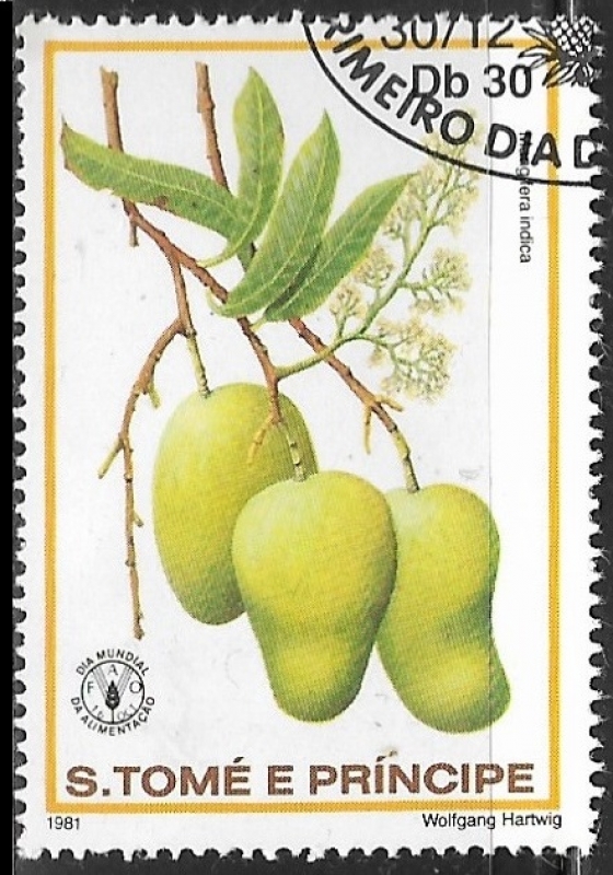 Frutas - Mangifera indica