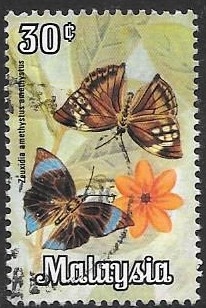 mariposas