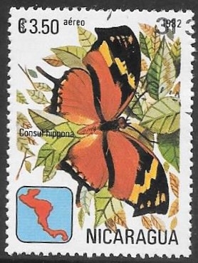 mariposa