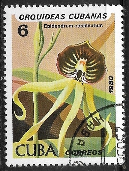 Orquídeas Cubanas