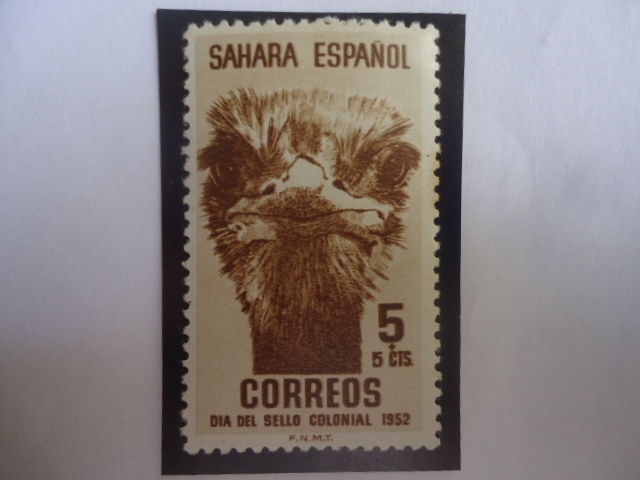 Ed:ES-SH 98 - Sahara Español - Avestruz - Día del Sello Colonial 1952.