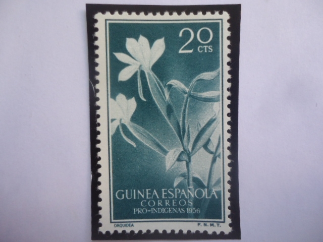 Ed:ES-GN 360 - Flores Angraecum Distichum - Sello:Pro-Indigena 1956 - Guinea Española.