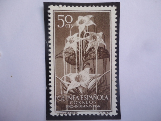 Ed:ES-GN 361- Guinea Española - Flores: Strohanlus Kombe - Sello Pro-Indígenas 1956