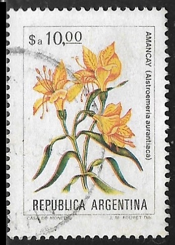 Flores - Amancay (Alstroemeria aurantiaca)