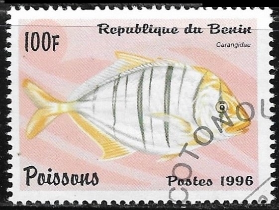 Peces - Carangidus sp.