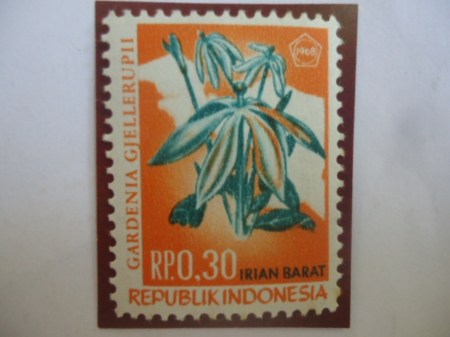 Provincia de Irian Barat- Gardenia Gjellerupii - Indonesia, Irian Occidental. 