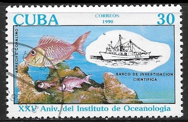 Peces - Arrecife coralino