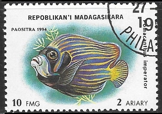 Peces - Pomacanthus imperator