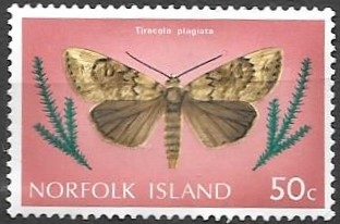 Mariposas (Norfolk)