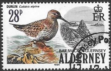 Aves de Alderney