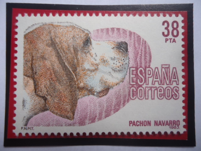 Ed:Es 2714 - Pachon Navarro (canis Lupus Familiaris) - Serie: Perros de Raza Español