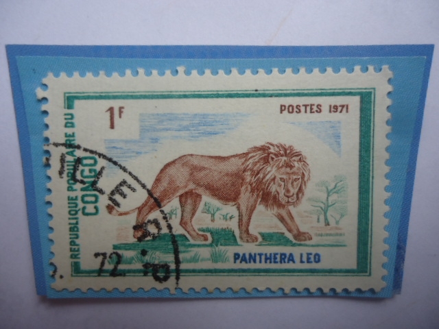 Congo República(Brazzaville)-León-Panthera Leo- Serie:Animales Salvajes-África Central