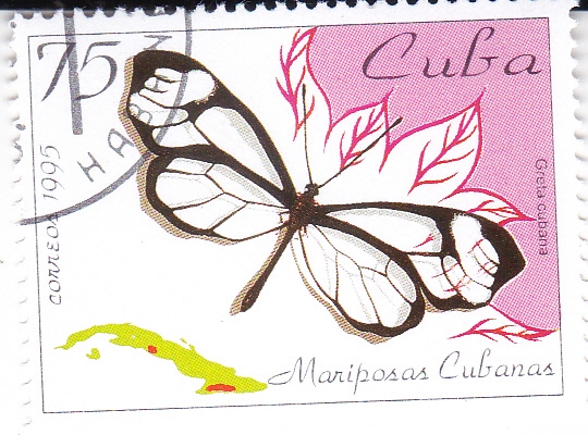 Mariposa cubana