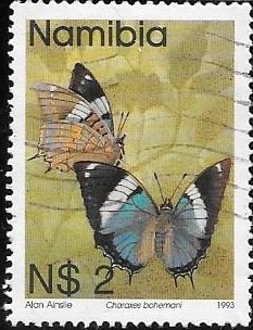 mariposas