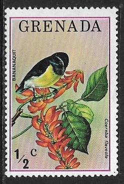 Coereba flaveola