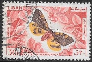 mariposas